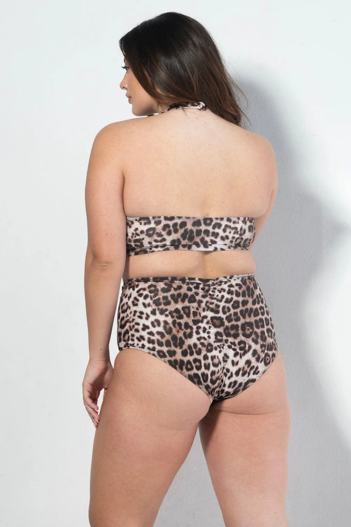 New ๐ All Pole Wear RAD Eve Shorts - Leopard ๐ฅ 7 All Pole Wear RAD Eve Shorts - Leopard