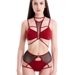 All Pole Wear Hamade Activewear High Waisted Mesh Garter Bottoms - Brick Red