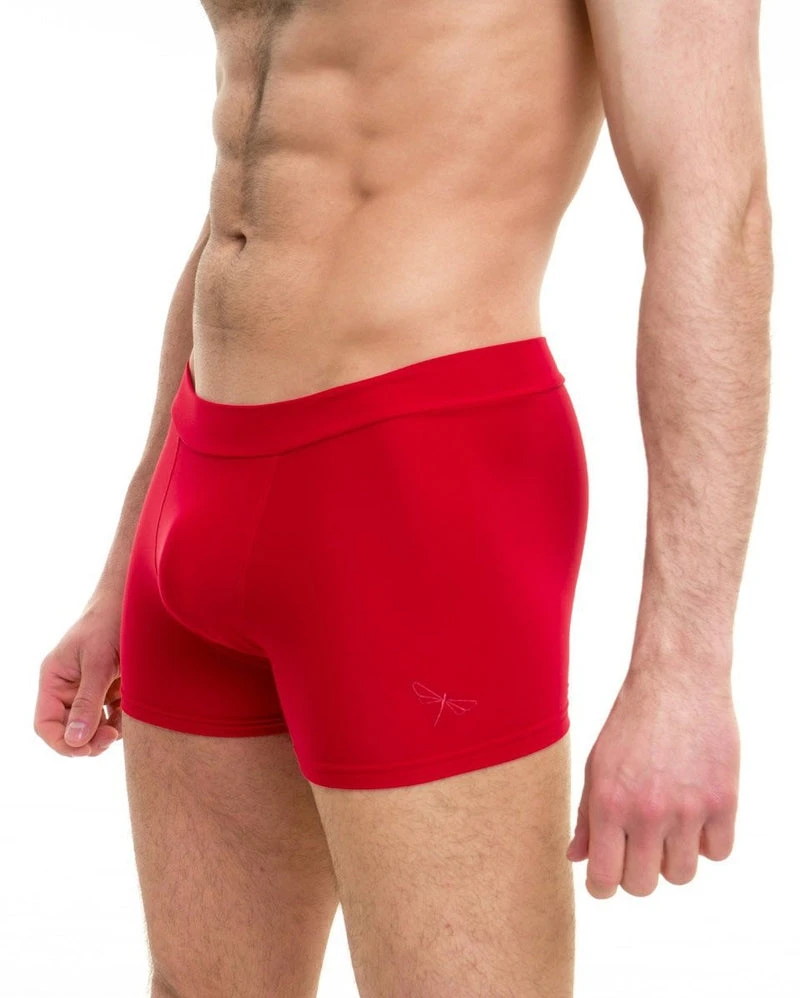 Brand new ๐ Dragonfly Mike Shorts - Red All Pole Wear โ๏ธ 3 Dragonfly Mike Shorts - Red All Pole Wear