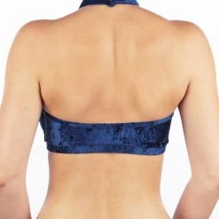 Dragonfly Lisette Top - Velvet Blue All Pole Wear