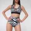 Pole Addict High Waisted Shorts - Zebra All Pole Wear